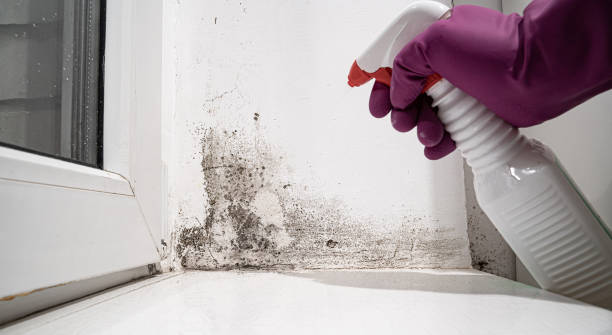 Best 24-hour water damage restoration  in Speers, PA